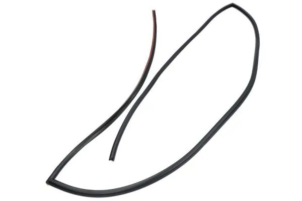 Elemente decorative/protectie parbriz