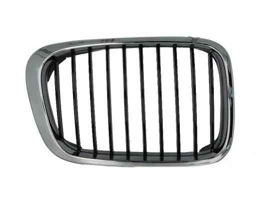 Grila radiator