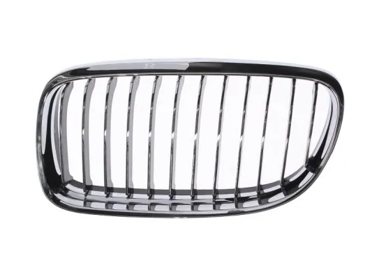 Grila radiator BLIC 6502-07-0062991PP
