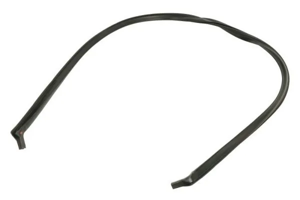 Elemente decorative/protectie parbriz