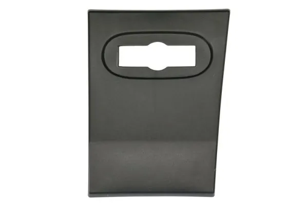 Elemente decorative/protectie, panou lateral