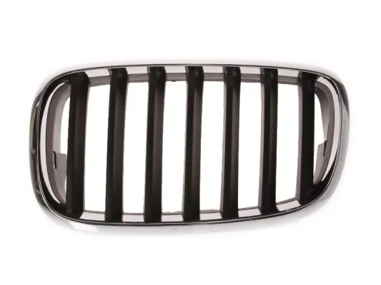 Grila radiator