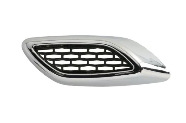 Elemente decorative/protectie aripa