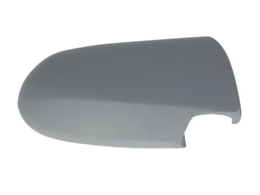Carcasa oglinda exterioara