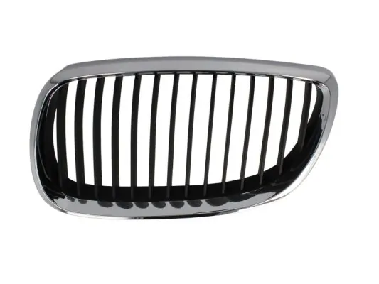 Grila radiator