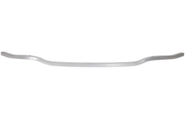 Elemente decorative/protectie, parbriz