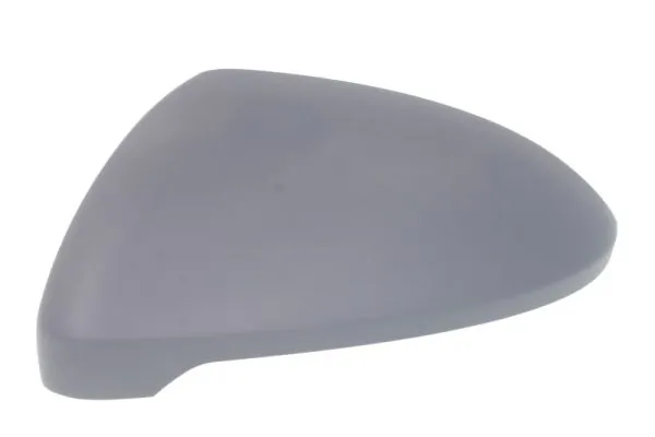 Carcasa oglinda exterioara