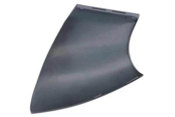 Carcasa oglinda exterioara