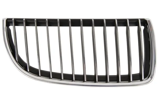 Grila radiator
