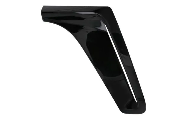 Elemente decorative/protectie aripa