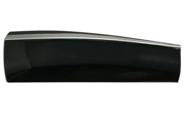 Elemente decorative/protectie portiera