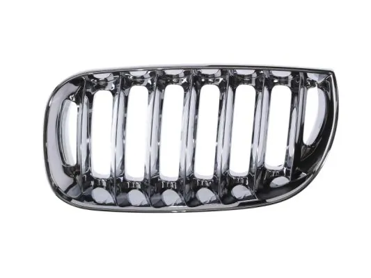 Grila radiator