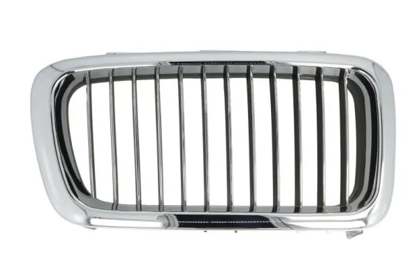 Grila radiator