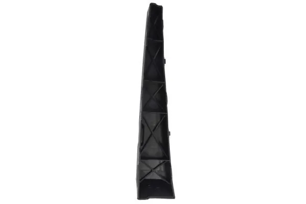 Elemente decorative/protectie parbriz