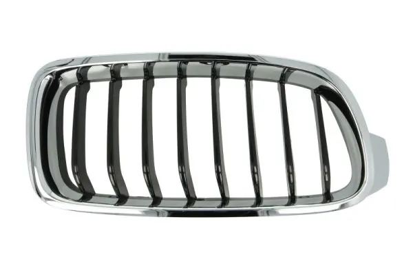 Grila radiator