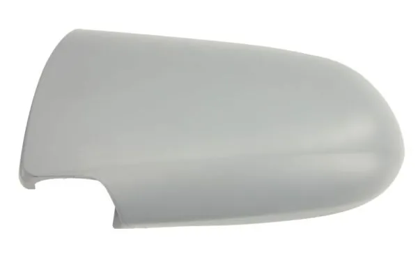 Carcasa oglinda exterioara