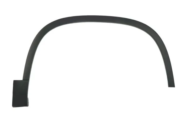 Elemente decorative/protectie aripa