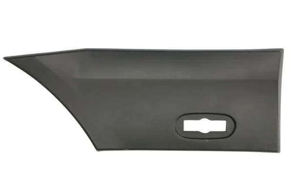 Elemente decorative/protectie aripa
