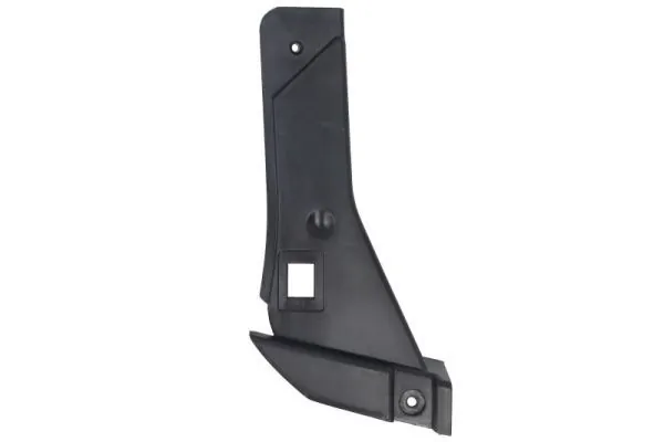 Elemente decorative/protectie parbriz
