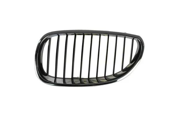 Grila radiator