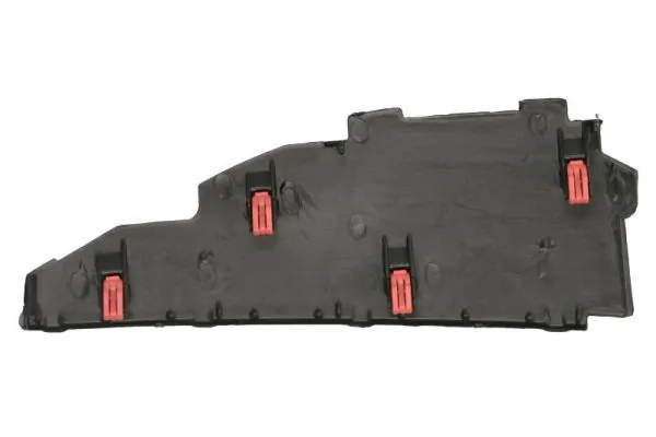 Elemente decorative/protectie portiera