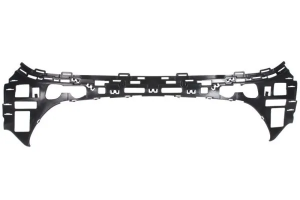 Elemente decorative/protectie parbriz