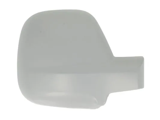 Carcasa oglinda exterioara