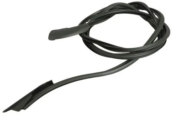Elemente decorative/protectie parbriz