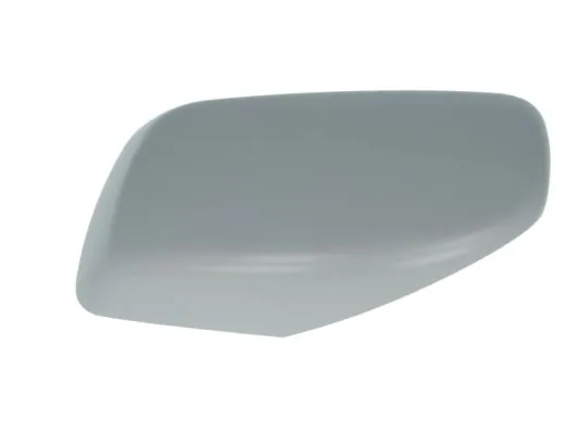 Carcasa oglinda exterioara