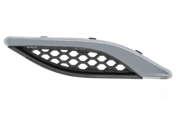 Elemente decorative/protectie, aripa