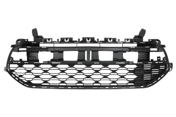 Grila radiator