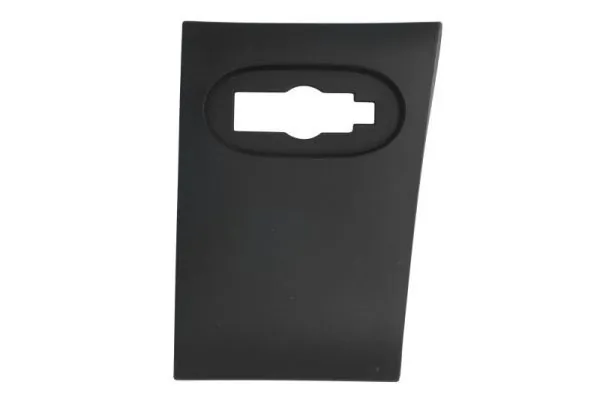Elemente decorative/protectie, panou lateral