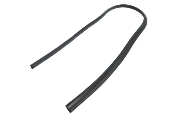 Elemente decorative/protectie parbriz