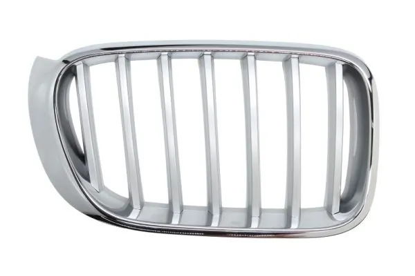 Grila radiator