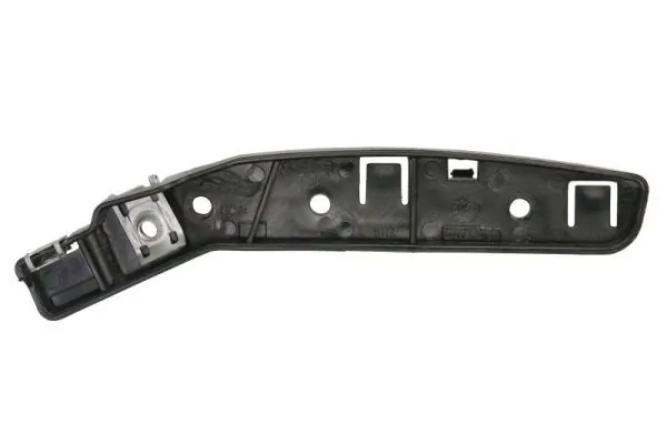 Elemente decorative/protectie, parbriz