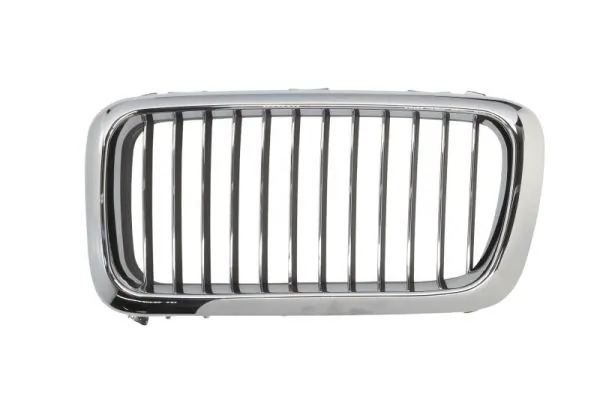 Grila radiator