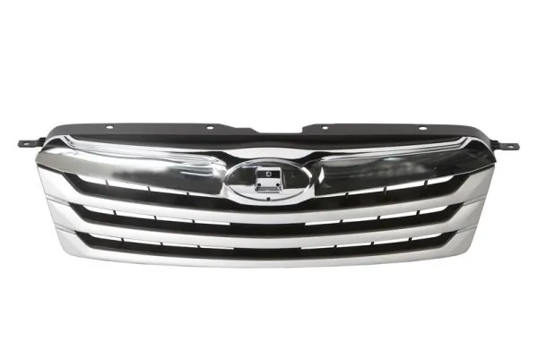 Grila radiator