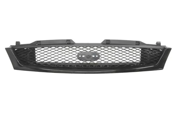 Grila radiator