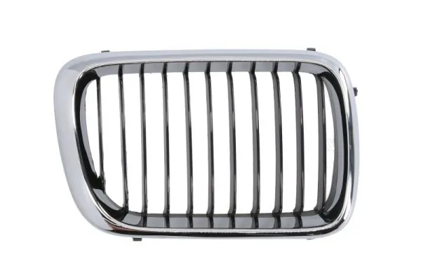 Grila radiator