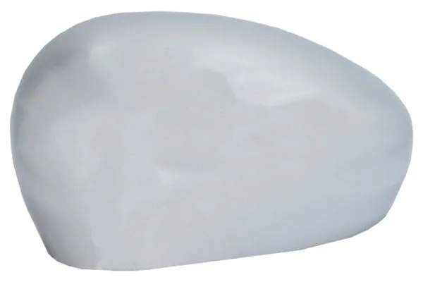 Carcasa oglinda exterioara