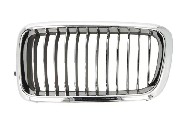 Grila radiator