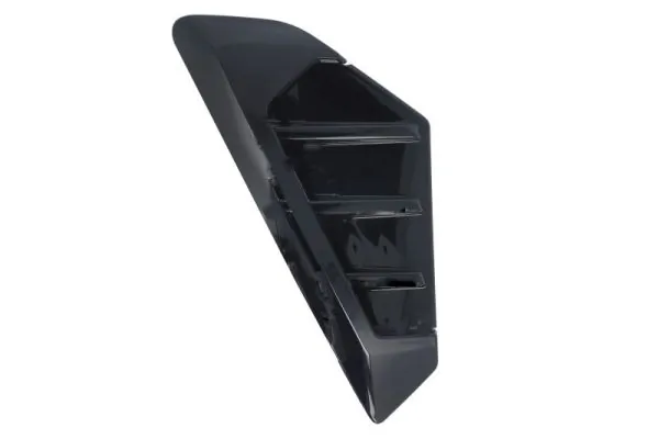 Elemente decorative/protectie aripa