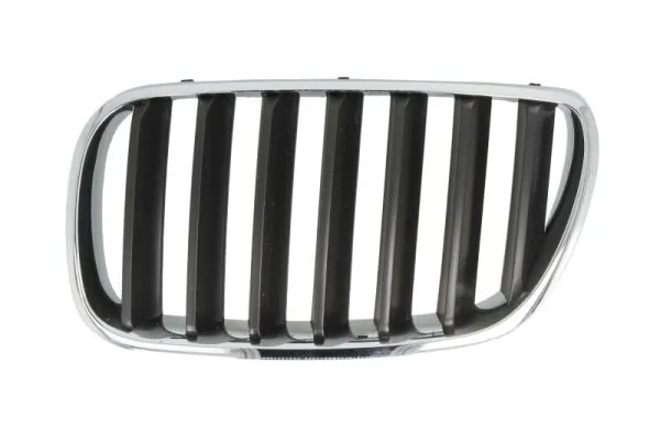 Grila radiator