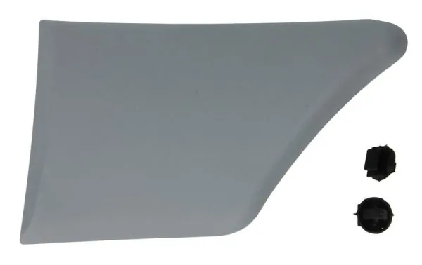 Elemente decorative/protectie aripa