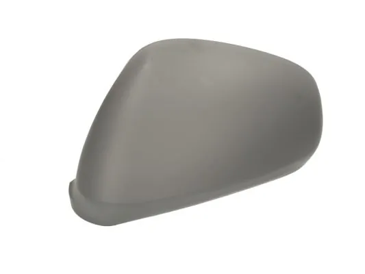 Carcasa oglinda exterioara