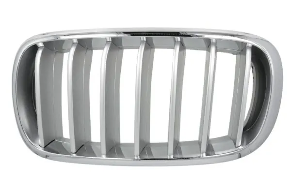 Grila radiator