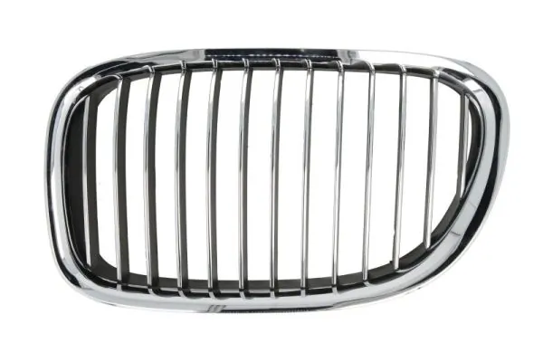 Grila radiator