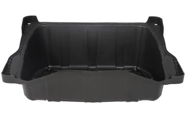 Elemente decorative/protectie parbriz