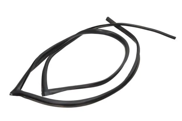 Elemente decorative/protectie parbriz