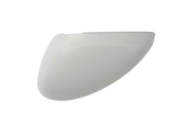 Carcasa oglinda exterioara